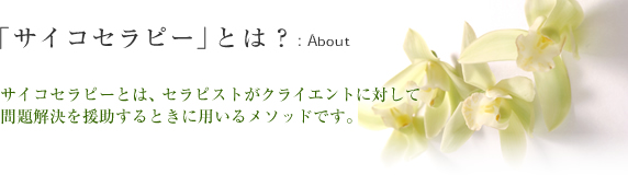 uTCRZs[vƂ́H