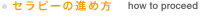 セラピーの進め方